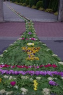 Dywan z kwiatów na rozwidleniu trasy pod kościołem