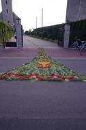 Gotowy dywan z kwiatów prowadzący od trzeciego do czwartego ołtarza