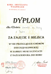 Dyplom