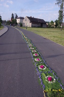 Gotowy dywan z kwiatów pomiędzy pierwszym i drugim ołtarzem