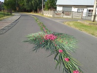 Boże Ciało
