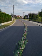 Boże Ciało