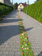 Boże Ciało